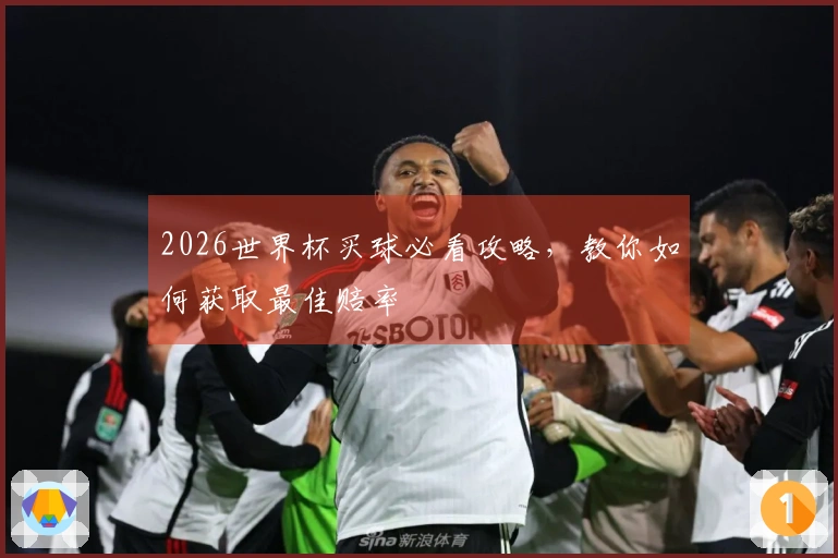 2026世界杯买球必看攻略，教你如何获取最佳赔率