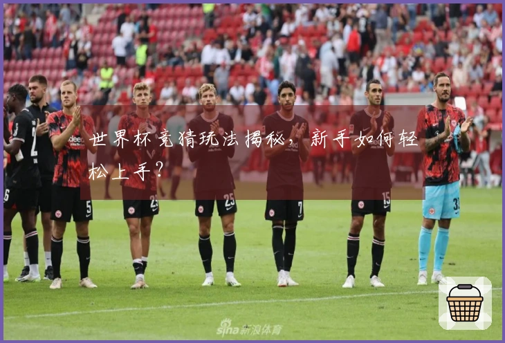 世界杯竞猜玩法揭秘，新手如何轻松上手？