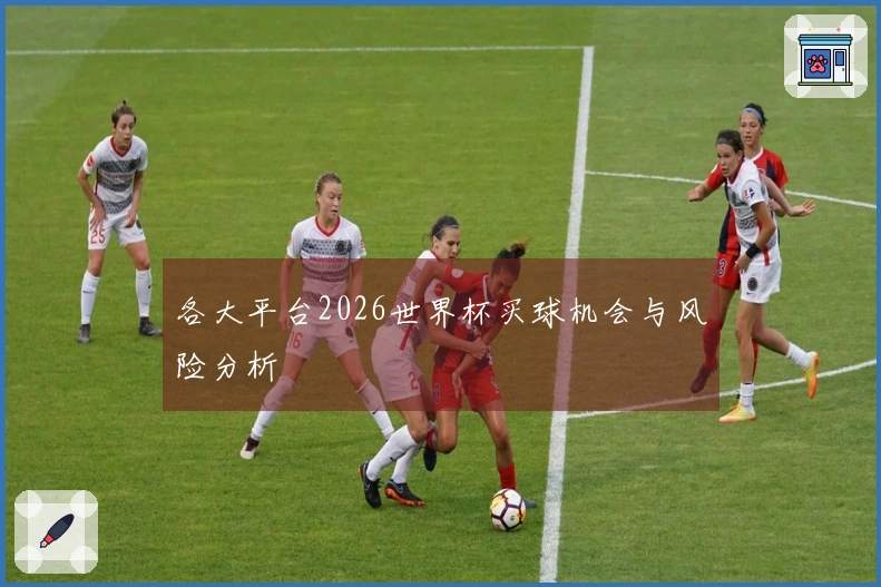 各大平台2026世界杯买球机会与风险分析